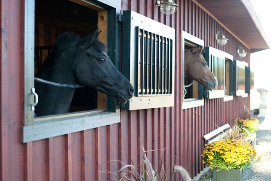 horse barn roseview dressage millbrook ny sloan architects